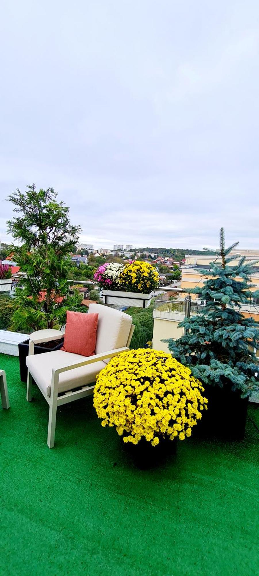 Penthouse View Aeroport Iasi Lejlighed Eksteriør billede